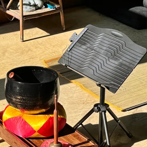 Donner DMS-1 Music Stand
