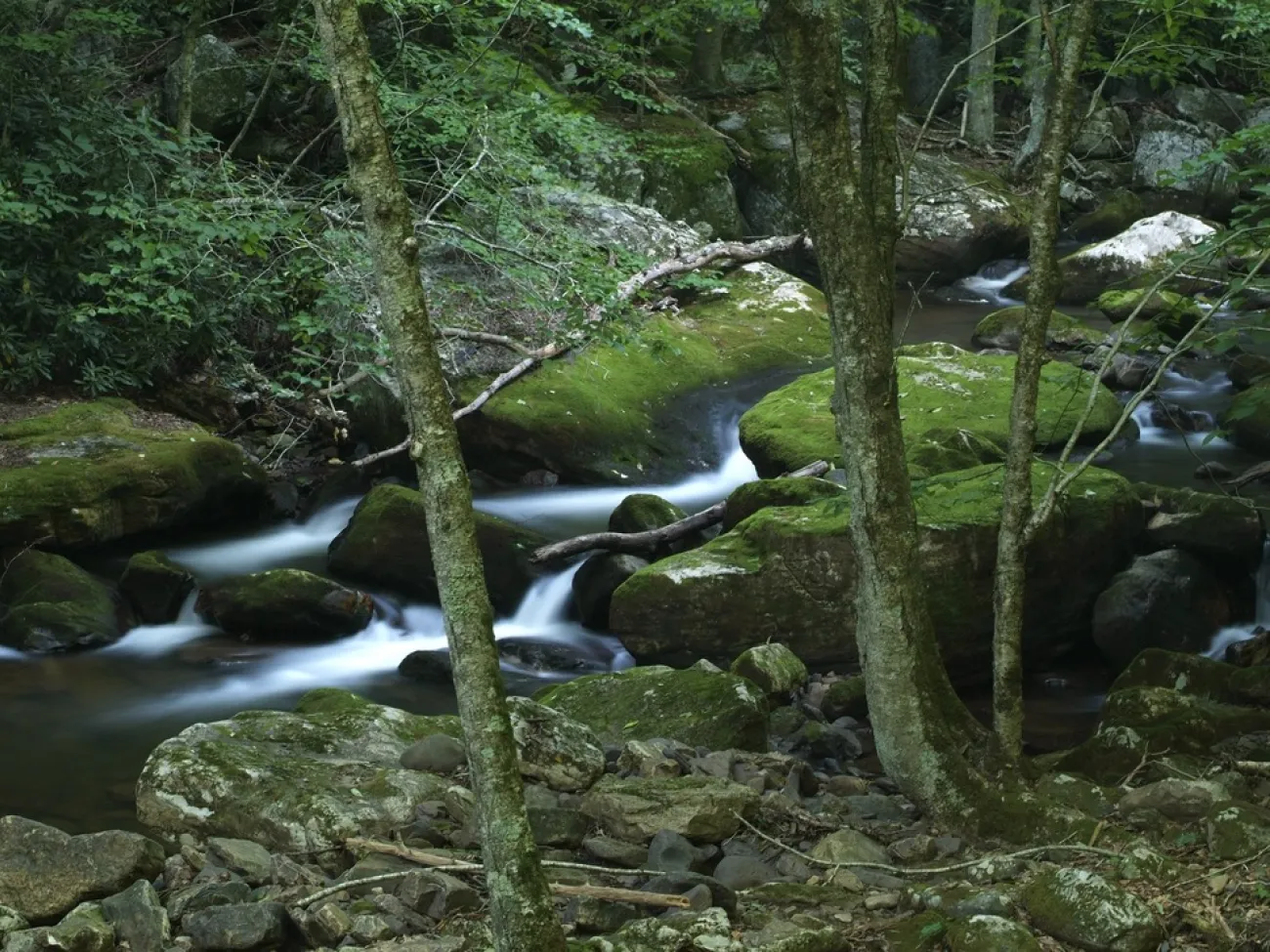 For the Time Being - "Little Stony Creek"