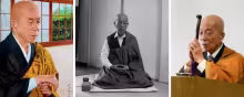 Nishijima Roshi Triptych